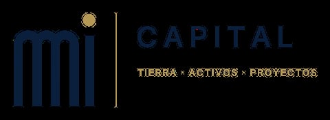 MI Capital — Tierra · Activos · Proyectos