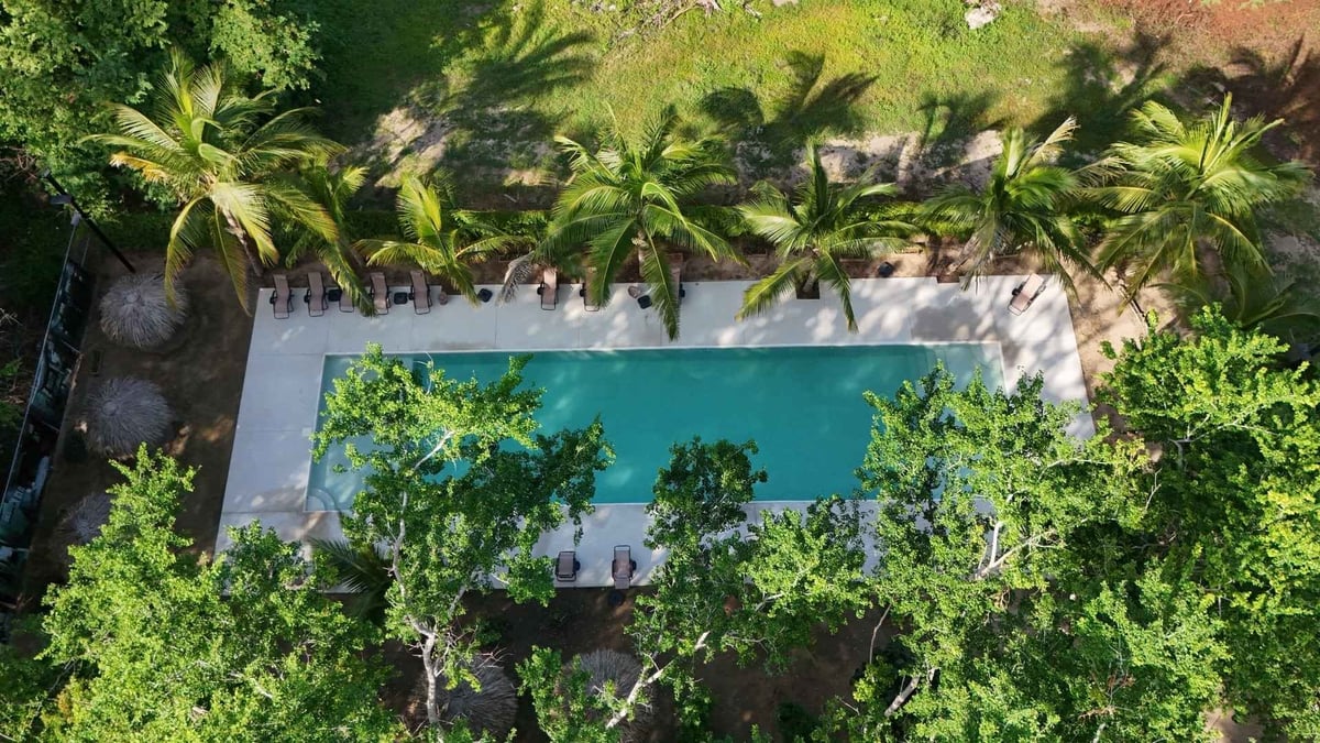 Aerial view of a turquoise swimming pool surrounded by lush green tropical vegetation and palm trees