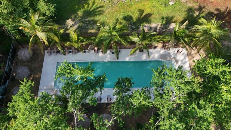 Aerial view of a turquoise swimming pool surrounded by lush green tropical vegetation and palm trees