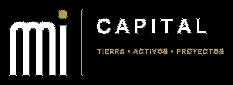 MI Capital — Tierra · Activos · Proyectos