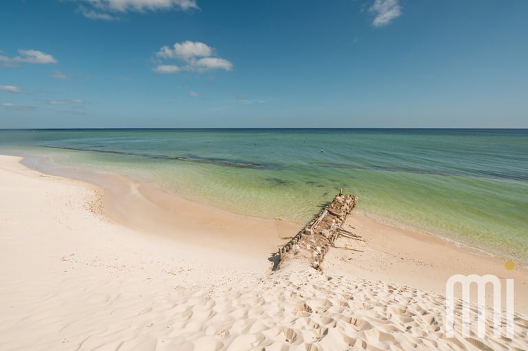 Tronco en playa de arena con agua turquesa en Yucatán