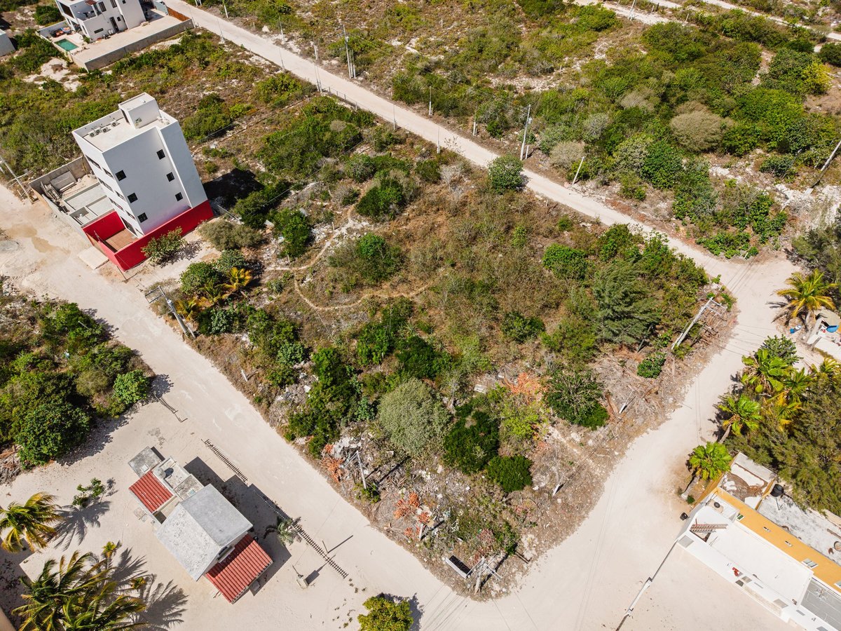 Reservas territoriales en Yucatán