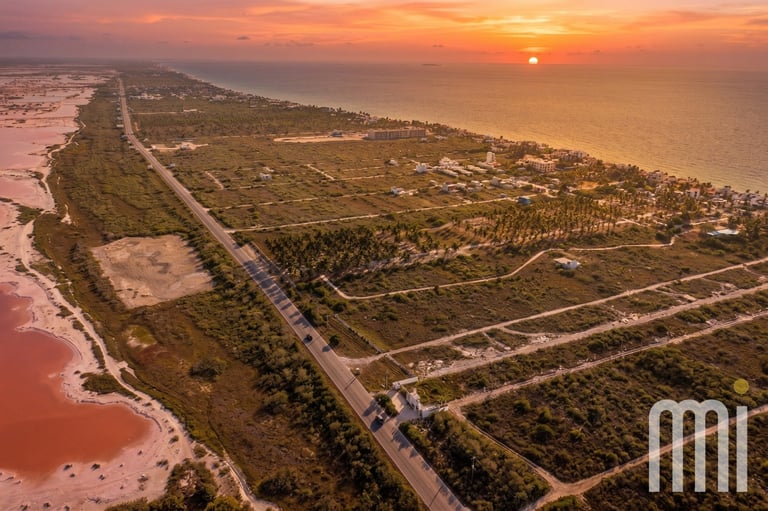 Vista aérea de campos y estanques salinos al atardecer con carretera costera