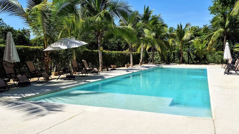 Turquoise swimming pool surrounded by palm trees, white concrete deck, and lounge chairs with umbrellas on a sunny day